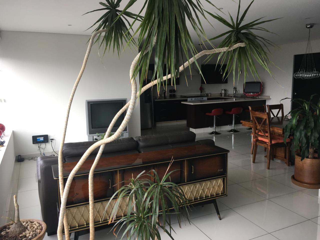 Napoles Condo Suites 멕시코 시 외부 사진